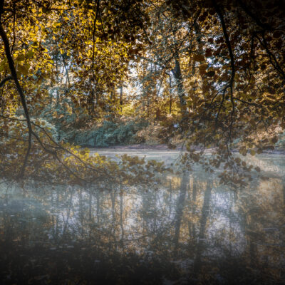 Autumn is coming
